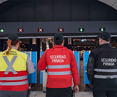 Curso de Formación de Guardia de Seguridad (Formación y Reentrenamiento) - Imagen 3